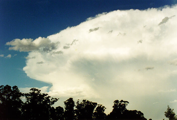anvil thunderstorm_anvils : Oakhurst, NSW   5 February 1995