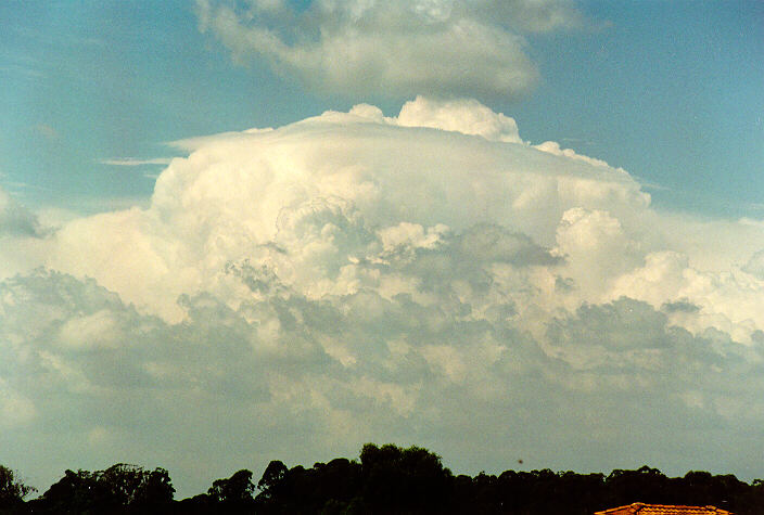 thunderstorm cumulonimbus_incus : Oakhurst, NSW   19 March 1995