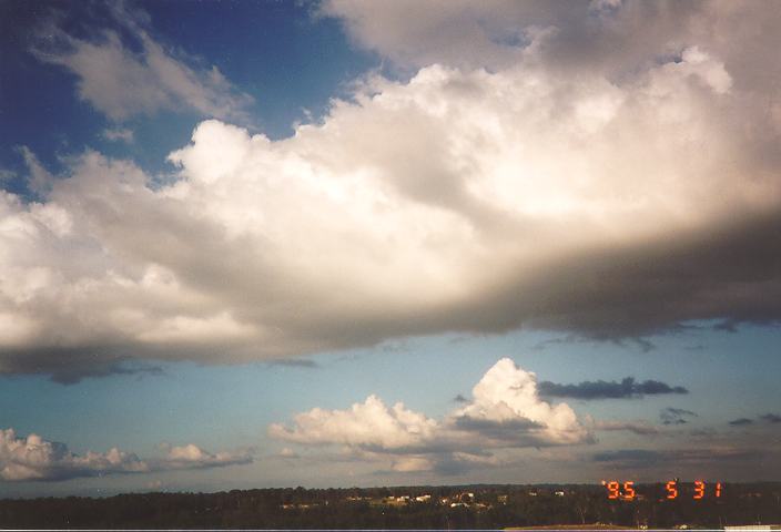 cumulus mediocris : Schofields, NSW   31 May 1995