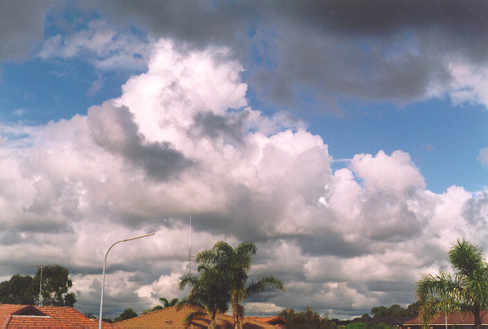 cumulus mediocris : Oakhurst, NSW   3 June 1995