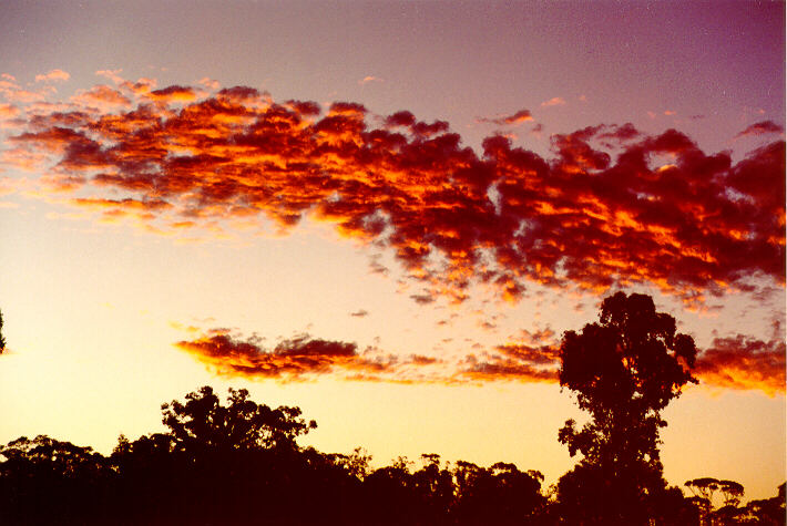 altocumulus altocumulus_cloud : Oakhurst, NSW   25 June 1995