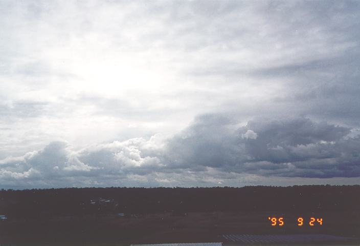 cumulus mediocris : Schofields, NSW   24 September 1995
