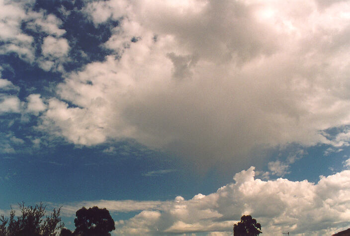 altocumulus altocumulus_cloud : Oakhurst, NSW   1 October 1995