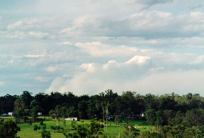 cumulus pyrocumulus : Schofields, NSW   5 November 1995