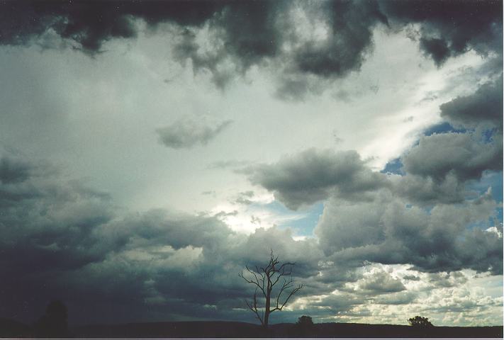 anvil thunderstorm_anvils : Orchard Hills, NSW   18 November 1995