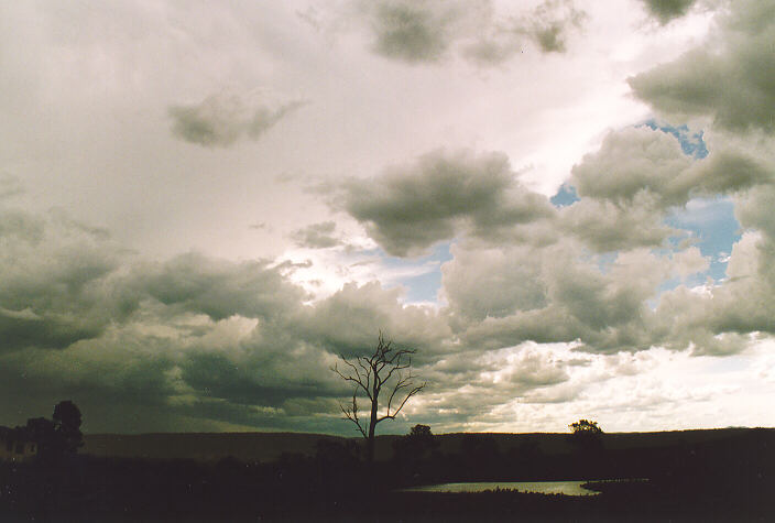 anvil thunderstorm_anvils : Luddenham, NSW   18 November 1995