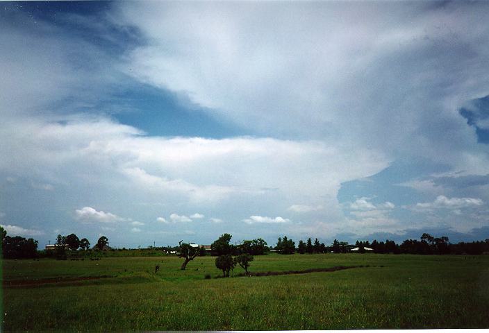 cumulus humilis : Erskine Park, NSW   27 December 1995