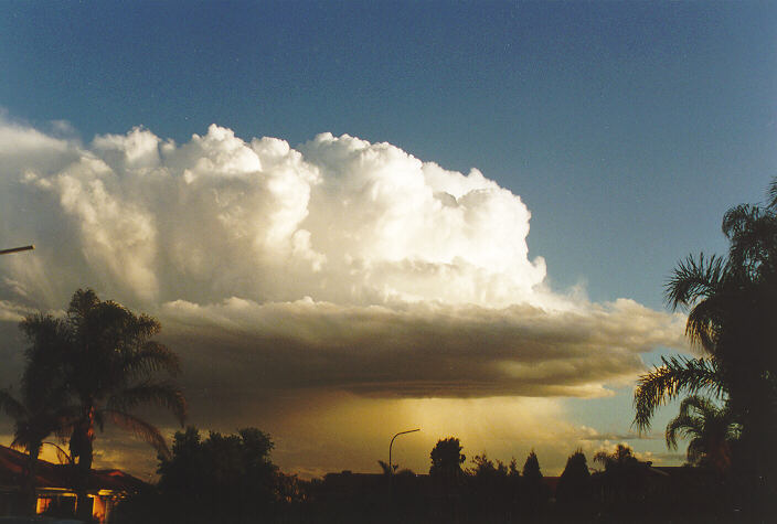 thunderstorm cumulonimbus_calvus : Oakhurst, NSW   26 September 1997