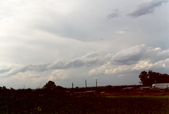 cumulus humilis : Schofields, NSW   2 October 1997