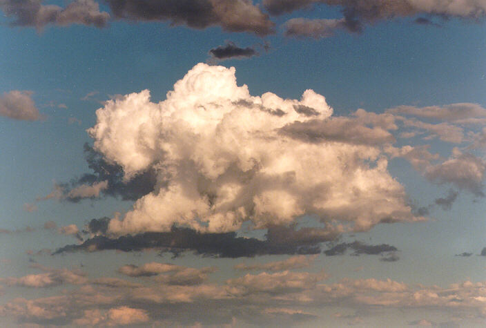 altocumulus altocumulus_cloud : Schofields, NSW   11 November 1997