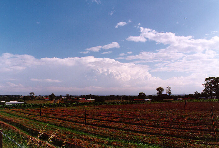 thunderstorm cumulonimbus_incus : Schofields, NSW   15 November 1997