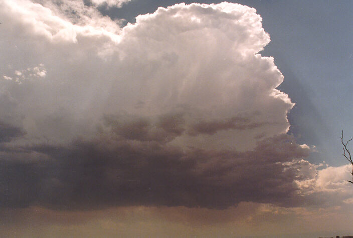 thunderstorm cumulonimbus_calvus : Horsley Park, NSW   26 November 1997