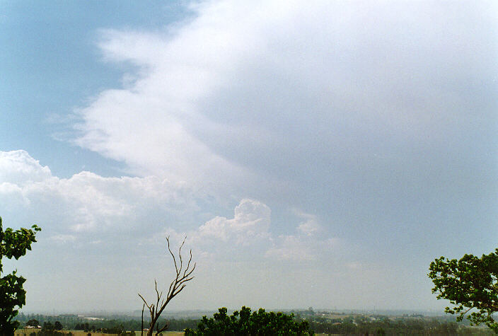 anvil thunderstorm_anvils : Horsley Park, NSW   26 November 1997