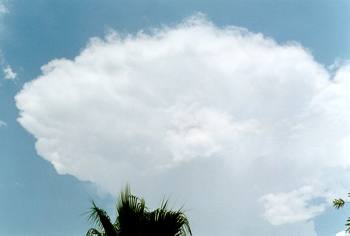 anvil thunderstorm_anvils : Oakhurst, NSW   27 November 1997