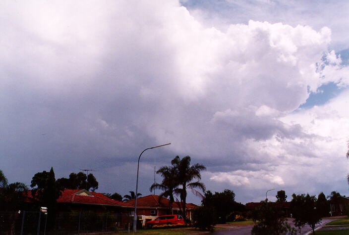 thunderstorm cumulonimbus_calvus : Oakhurst, NSW   19 December 1997