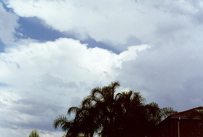thunderstorm cumulonimbus_calvus : Oakhurst, NSW   19 December 1997