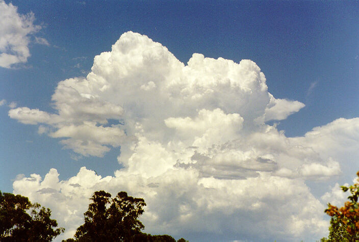 thunderstorm cumulonimbus_calvus : Oakhurst, NSW   21 December 1997