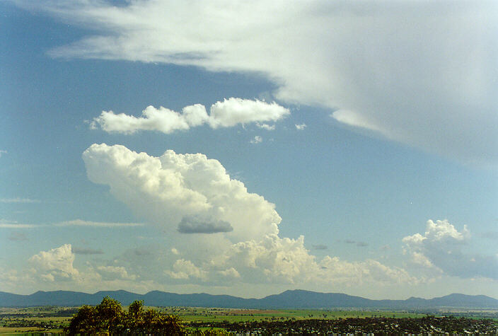 thunderstorm cumulonimbus_calvus : Tamworth, NSW   22 December 1997