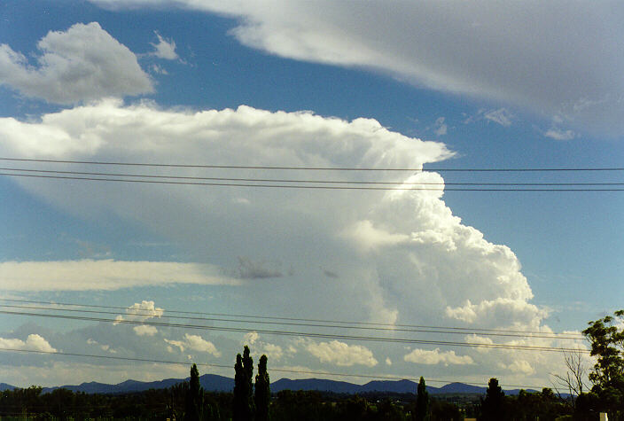 anvil thunderstorm_anvils : Tamworth, NSW   22 December 1997