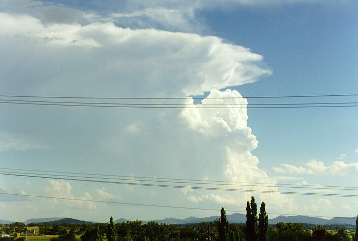 thunderstorm cumulonimbus_incus : Tamworth, NSW   22 December 1997