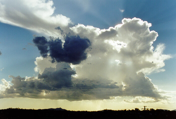 cumulus congestus : Tamworth, NSW   22 December 1997