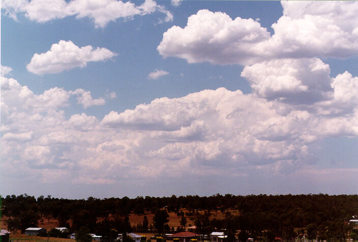 cumulus mediocris : Schofields, NSW   26 December 1997