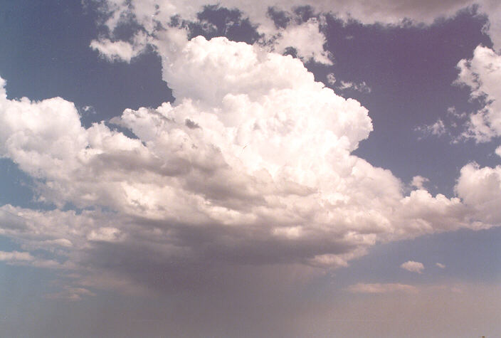 thunderstorm cumulonimbus_calvus : Schofields, NSW   26 December 1997