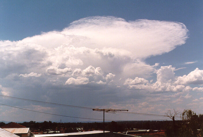 anvil thunderstorm_anvils : Schofields, NSW   2 January 1998