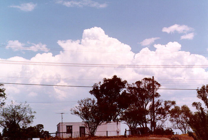 thunderstorm cumulonimbus_calvus : Schofields, NSW   3 January 1998