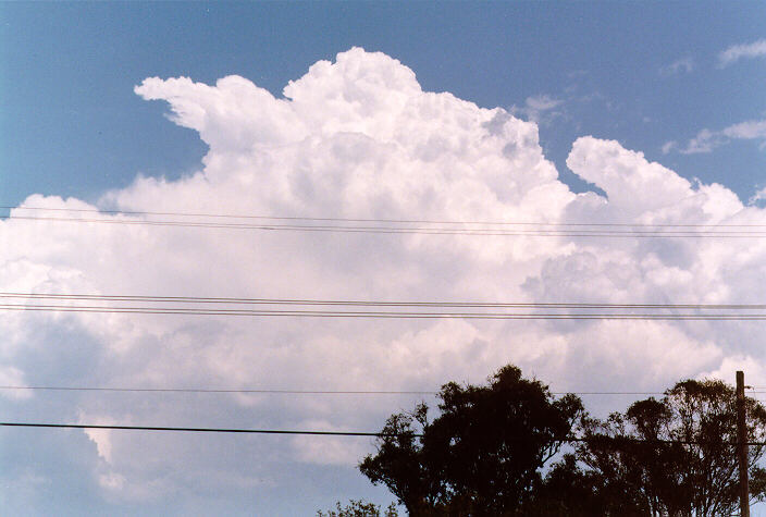 thunderstorm cumulonimbus_calvus : Schofields, NSW   3 January 1998