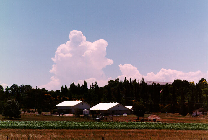 thunderstorm cumulonimbus_calvus : Armidale, NSW   19 January 1998