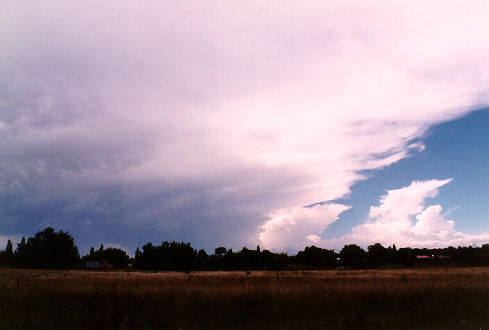 anvil thunderstorm_anvils : Armidale, NSW   19 January 1998