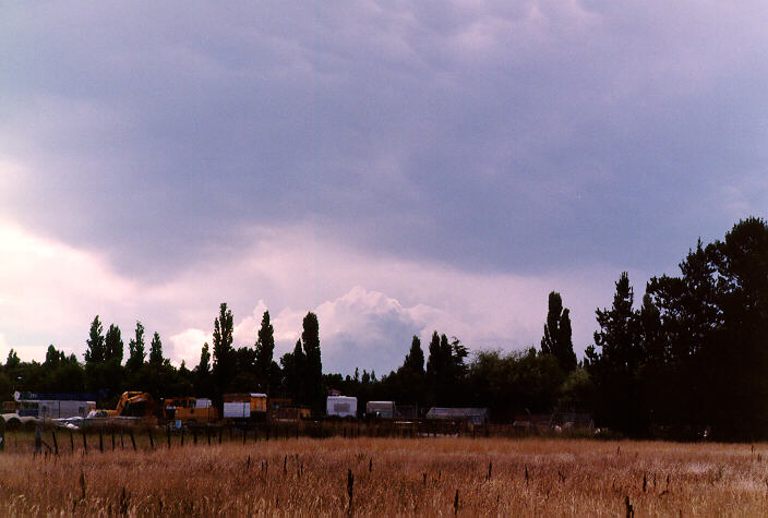 thunderstorm cumulonimbus_calvus : Armidale, NSW   19 January 1998