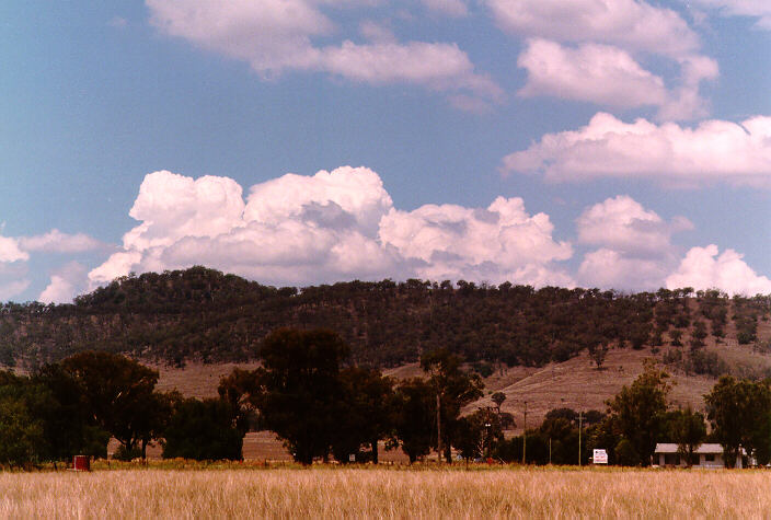 thunderstorm cumulonimbus_calvus : Parkville, NSW   20 January 1998