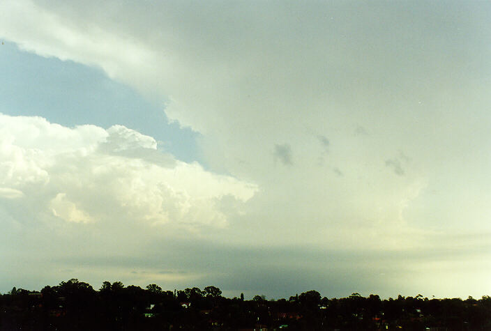 thunderstorm cumulonimbus_incus : Rooty Hill, NSW   20 January 1998