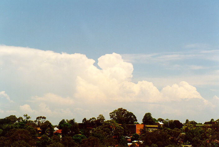thunderstorm cumulonimbus_calvus : Rooty Hill, NSW   1 February 1998