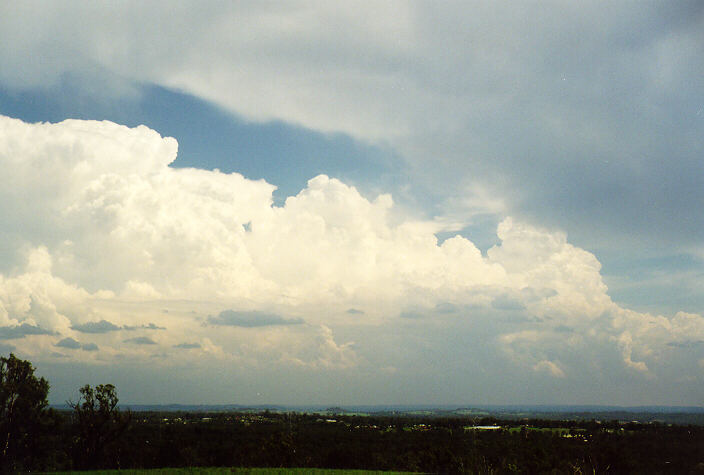 thunderstorm cumulonimbus_incus : Kemps Creek, NSW   1 February 1998