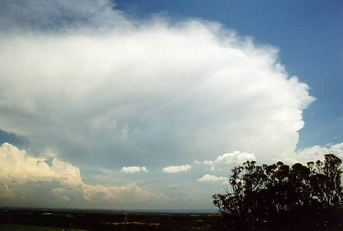 anvil thunderstorm_anvils : Kemps Creek, NSW   1 February 1998