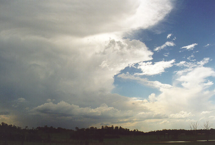 anvil thunderstorm_anvils : Cobbity, NSW   1 February 1998