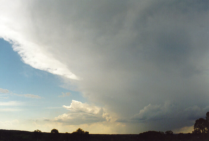 raincascade precipitation_cascade : Camden, NSW   1 February 1998