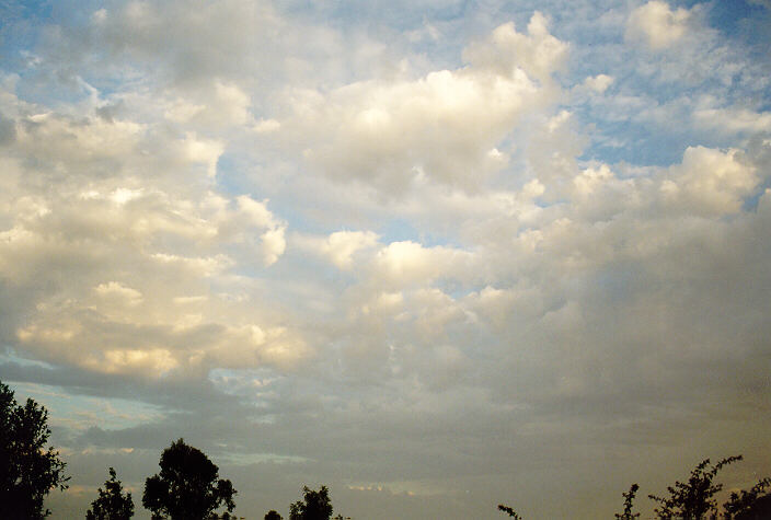 altocumulus altocumulus_cloud : Oakhurst, NSW   3 February 1998