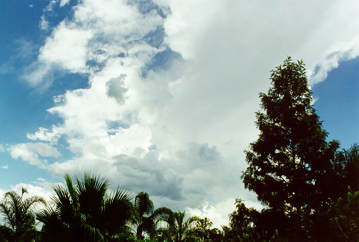 thunderstorm cumulonimbus_calvus : Oakhurst, NSW   12 February 1998