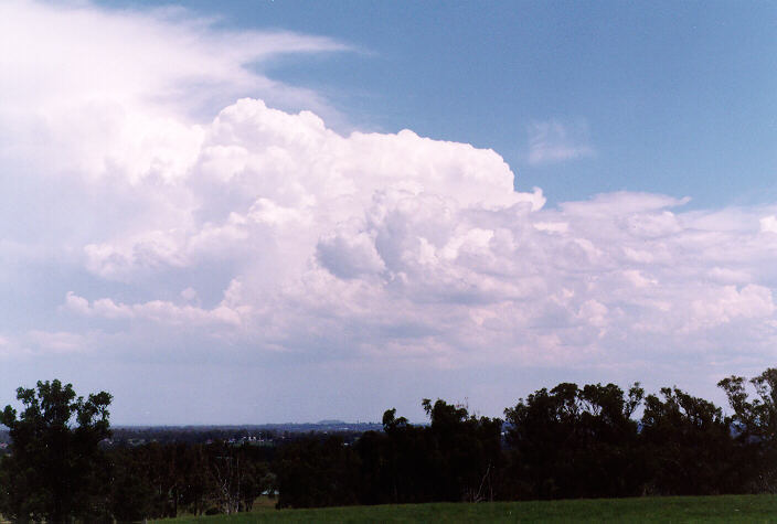 thunderstorm cumulonimbus_calvus : Kemps Creek, NSW   15 February 1998