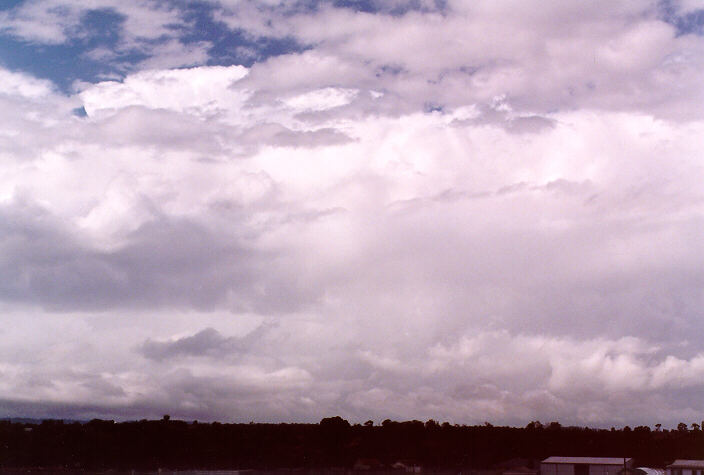 altocumulus altocumulus_cloud : Schofields, NSW   10 April 1998