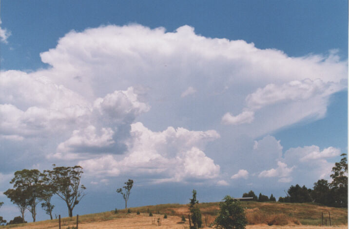 thunderstorm cumulonimbus_incus : Lithgow, NSW   13 December 1998