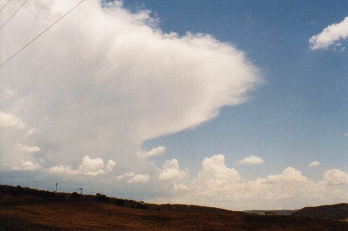 thunderstorm cumulonimbus_incus : Jenolan Caves Rd, NSW   13 December 1998