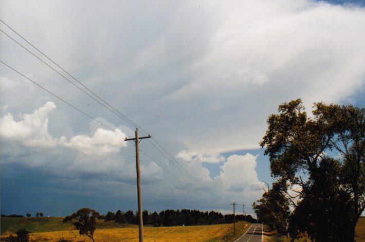 thunderstorm cumulonimbus_incus : Jenolan Caves Rd, NSW   13 December 1998