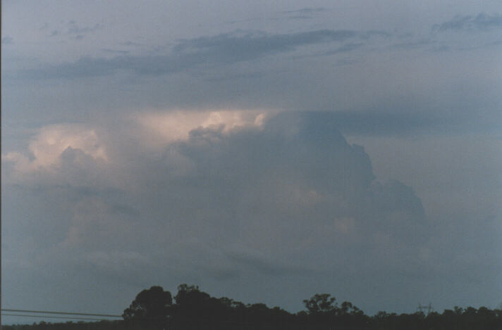 thunderstorm cumulonimbus_calvus : Schofields, NSW   1 January 1999