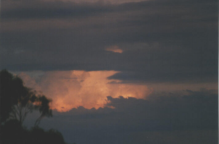 thunderstorm cumulonimbus_calvus : Canberra, ACT   2 January 1999