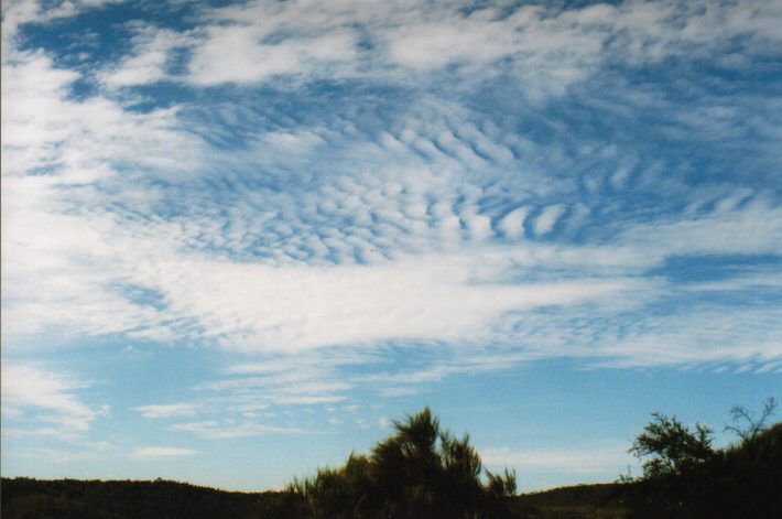altocumulus undulatus : Oakhurst, NSW   17 January 1999